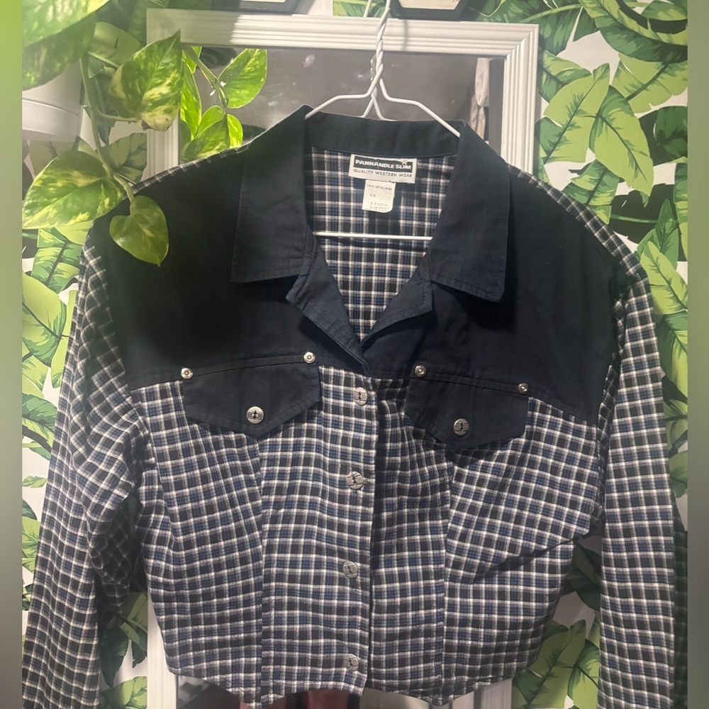 Panhandle Slim vintage western crop top